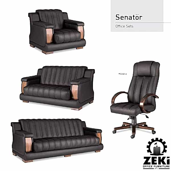 Senatör Makam Takımı